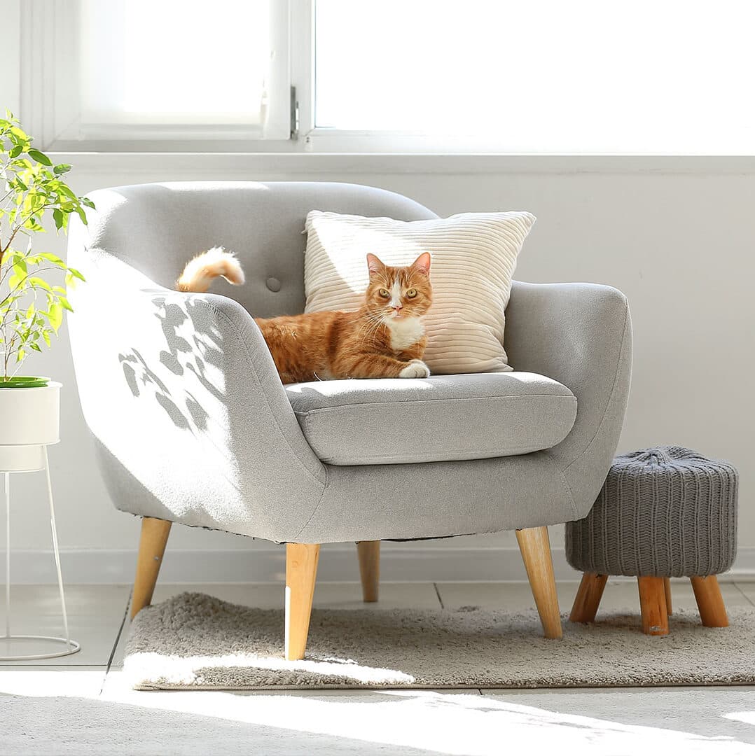 Independent boutique agency